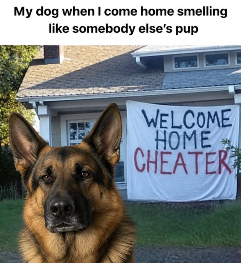 My dog when I come home smelling like somebody else's pup WELCOME HOME CHEATER
