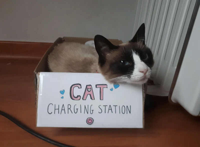 CAT CHARGING STATION