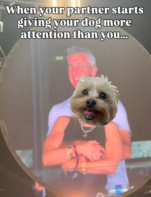 When your partner starts giving your dog more attention than you...