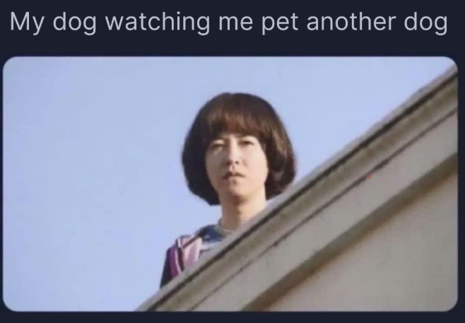 My dog watching me pet another dog