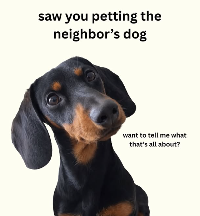 saw you petting the neighbor's dog want to tell me what that's all about?