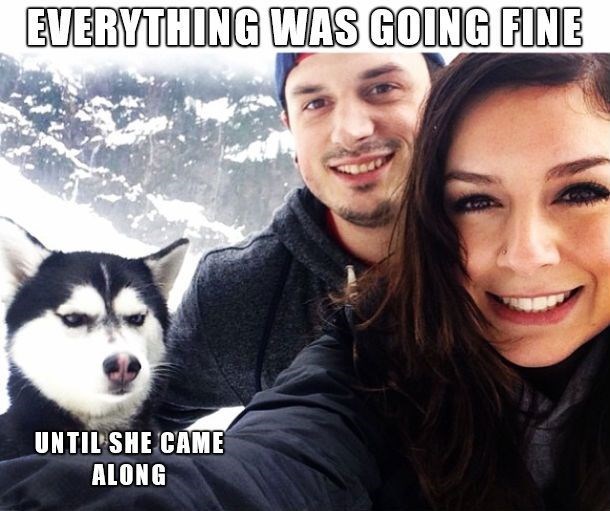 EVERYTHING WAS GOING FINE UNTIL SHE CAME ALONG