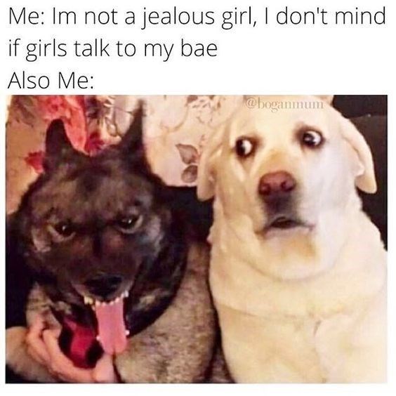 Me: Im not a jealous girl, I don't mind if girls talk to my bae Also Me: @boganmum