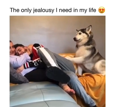 The only jealousy I need in my life