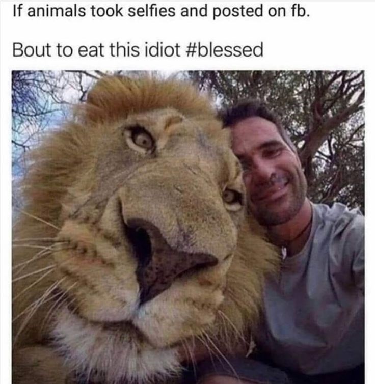 If animals took selfies and posted on fb. Bout to eat this idiot #blessed