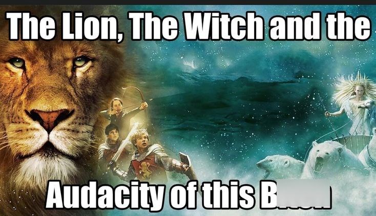 The Lion, The Witch and the Audacity of this Bod