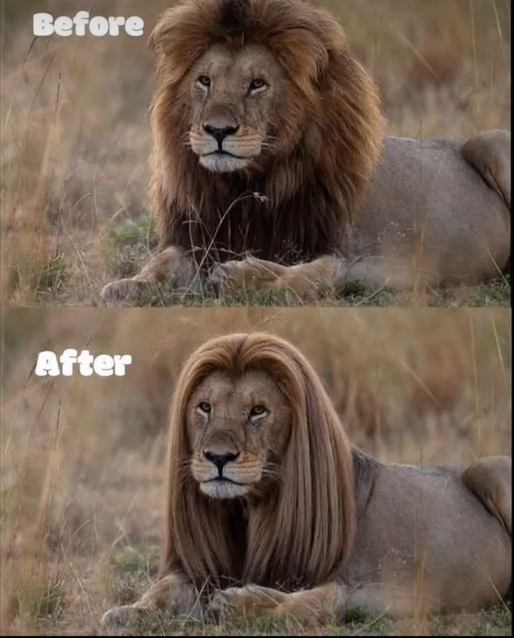 Before After
