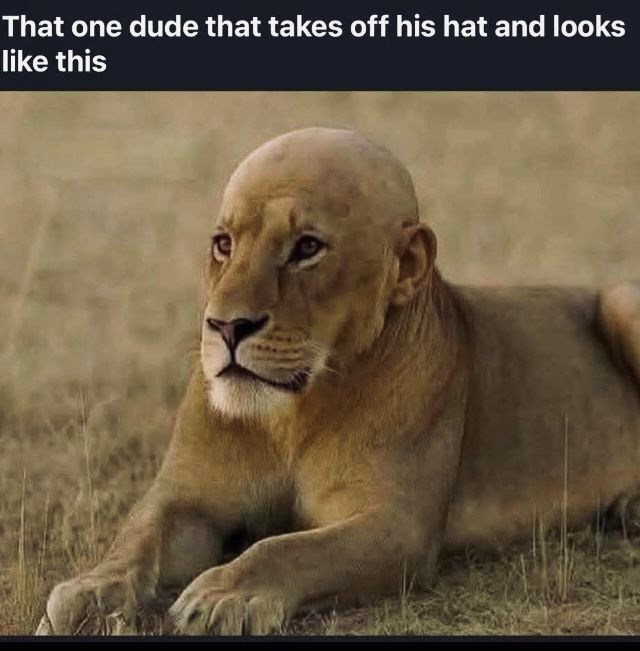 That one dude that takes off his hat and looks like this