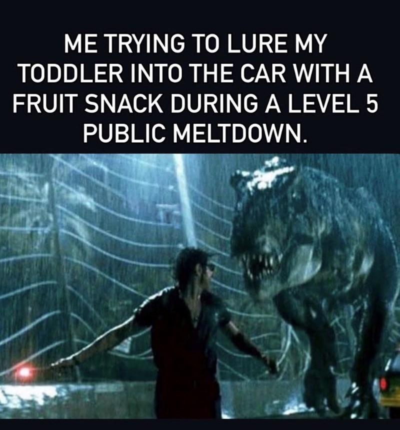 ME TRYING TO LURE MY TODDLER INTO THE CAR WITH A FRUIT SNACK DURING A LEVEL 5 PUBLIC MELTDOWN.