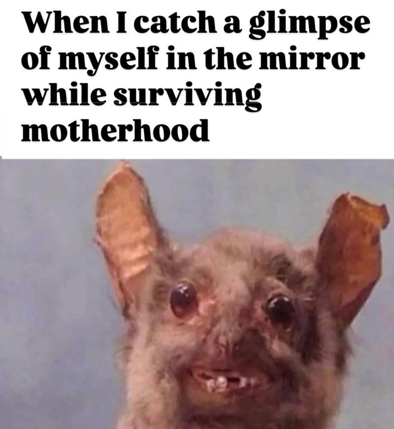 When I catch a glimpse of myself in the mirror while surviving motherhood