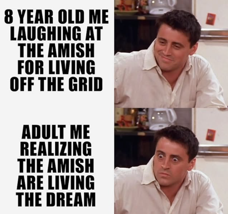 8 YEAR OLD ME LAUGHING AT THE AMISH FOR LIVING OFF THE GRID ADULT ME REALIZING THE AMISH ARE LIVING THE DREAM