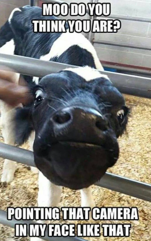 MOO DO YOU THINK YOU ARE? POINTING THAT CAMERA IN MY FACE LIKE THAT