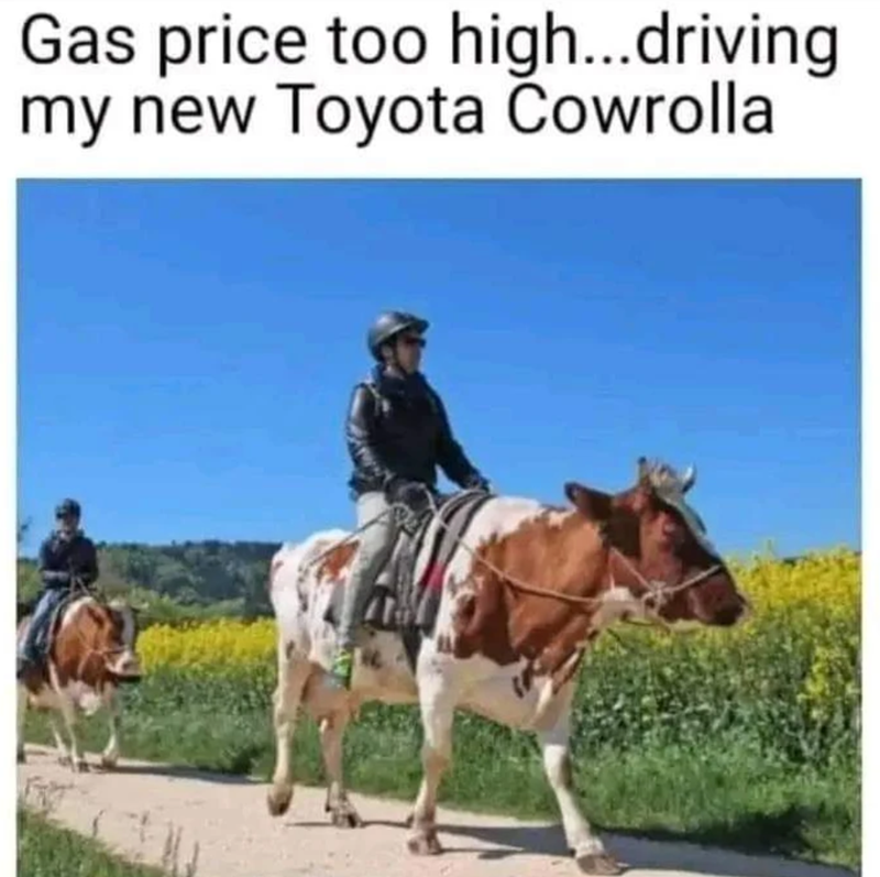 Gas price too high...driving my new Toyota Cowrolla