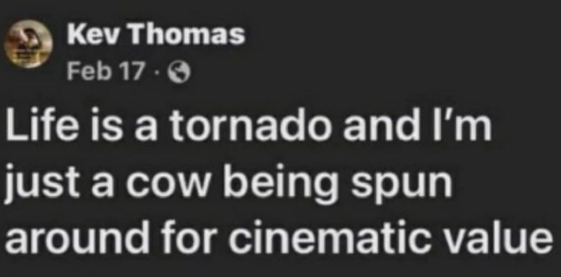 Kev Thomas Feb 17. Life is a tornado and I'm just a cow being spun around for cinematic value