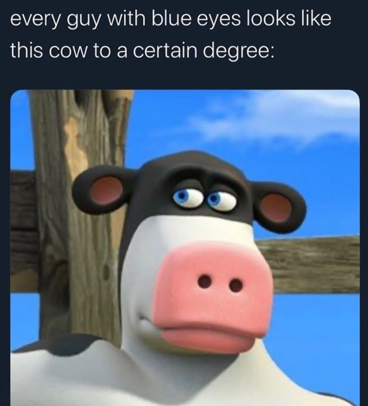 every guy with blue eyes looks like this cow to a certain degree: