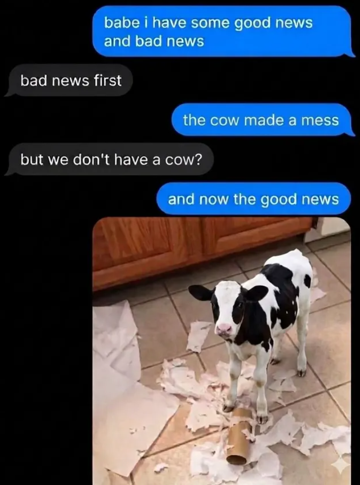 babe i have some good news and bad news bad news first the cow made a mess but we don't have a cow? and now the good news