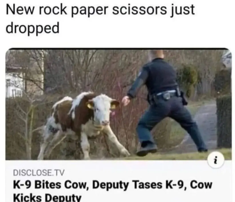 New rock paper scissors just dropped DISCLOSE.TV K-9 Bites Cow, Deputy Tases K-9, Cow Kicks Deputy i