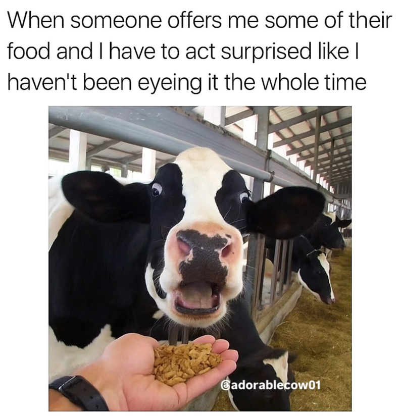 When someone offers me some of their food and I have to act surprised like I haven't been eyeing it the whole time Badorablecow01