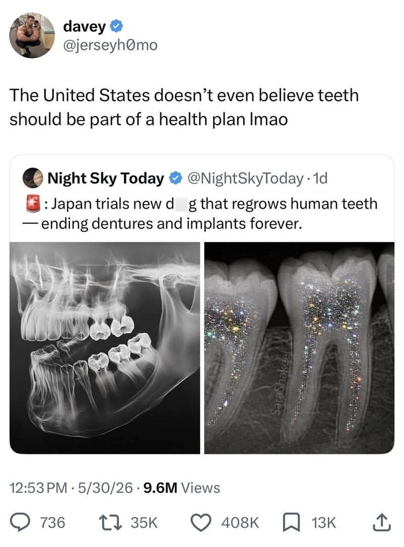 davey ❤ @jerseyhomo The United States doesn't even believe teeth should be part of a health plan Imao Night Sky Today @NightSkyToday . 1d : Japan trials new dog that regrows human teeth -ending dentures and implants forever. 12:53 PM 5/30/26.9.6M Views 736 135K 408K 13K ↑