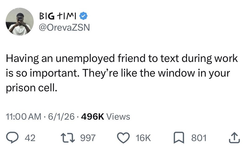 BIG TIMI @OrevaZSN Having an unemployed friend to text during work is so important. They're like the window in your prison cell. 11:00 AM 6/1/26 496K Views 42 1997 16K 801 ↑