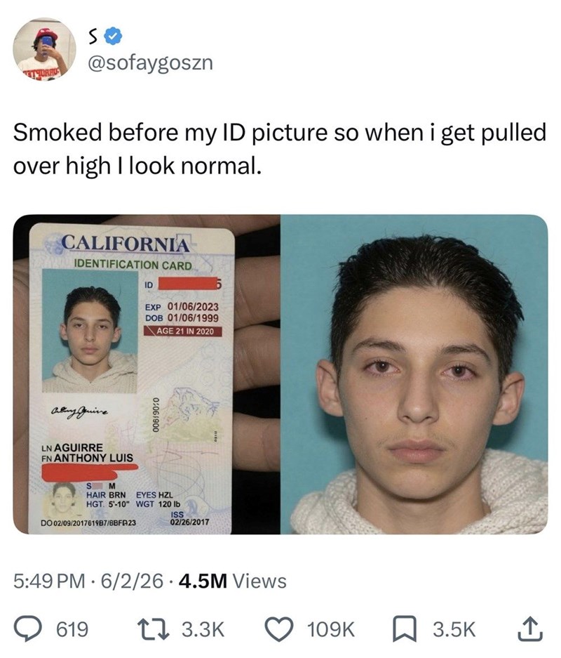 TTURA S @sofaygoszn Smoked before my ID picture so when i get pulled over high I look normal. CALIFORNIA IDENTIFICATION CARD ID EXP 01/06/2023 DOB 01/06/1999 AGE 21 IN 2020 Aby Quive LN AGUIRRE FN ANTHONY LUIS S M 0:06/900 HAIR BRN EYES HZL HGT. 5-10" WGT 120 lb DO 02/09/2017619B7/B8FA23 ISS 02/26/2017 5:49 PM 6/2/26 4.5M Views . 619 17 3.3K 109K 3.5K ↑