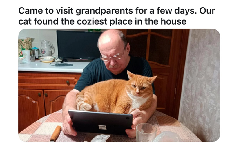 Came to visit grandparents for a few days. Our cat found the coziest place in the house