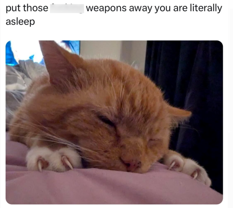 put those asleep weapons away you are literally