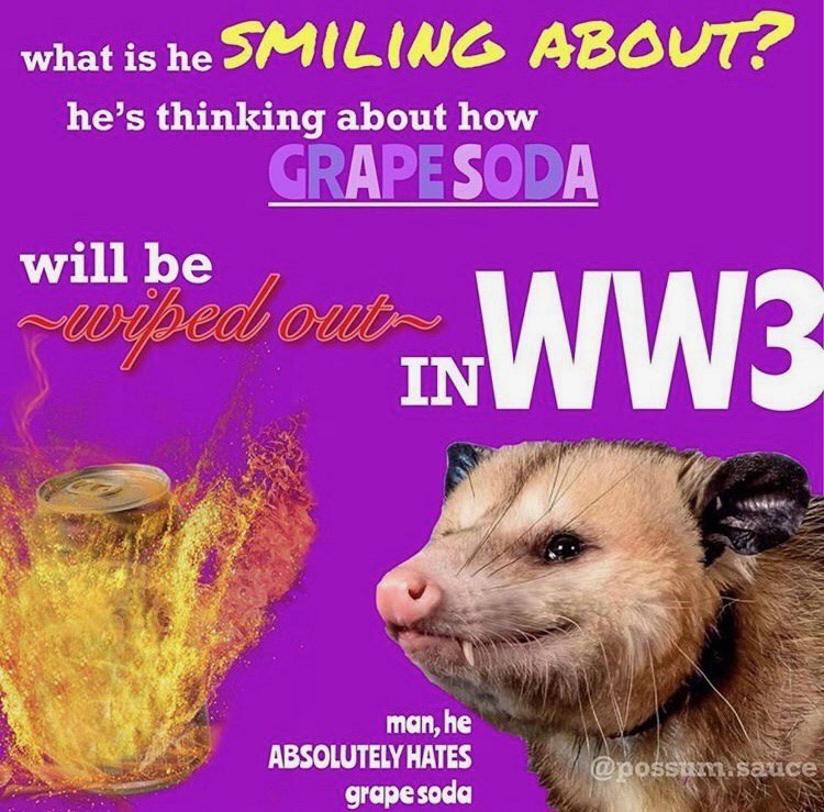 what is he SMILING ABOUT? he's thinking about how will be GRAPE SODA wiped out IN WW3 man, he ABSOLUTELY HATES grape soda @possum.sauce