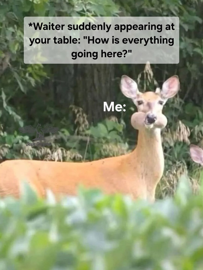 *Waiter suddenly appearing at your table: "How is everything going here?" Jesse Greppe Me: