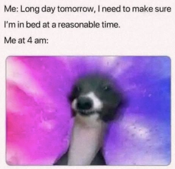 Me: Long day tomorrow, I need to make sure I'm in bed at a reasonable time. Me at 4 am: