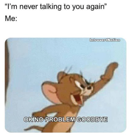 "I'm never talking to you again" Me: IntrovertNation OK NO PROBLEM GOODBYE
