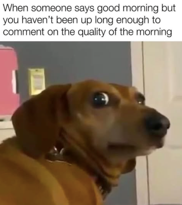 When someone says good morning but you haven't been up long enough to comment on the quality of the morning