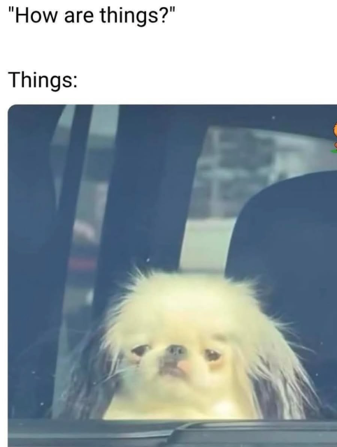 "How are things?" Things: