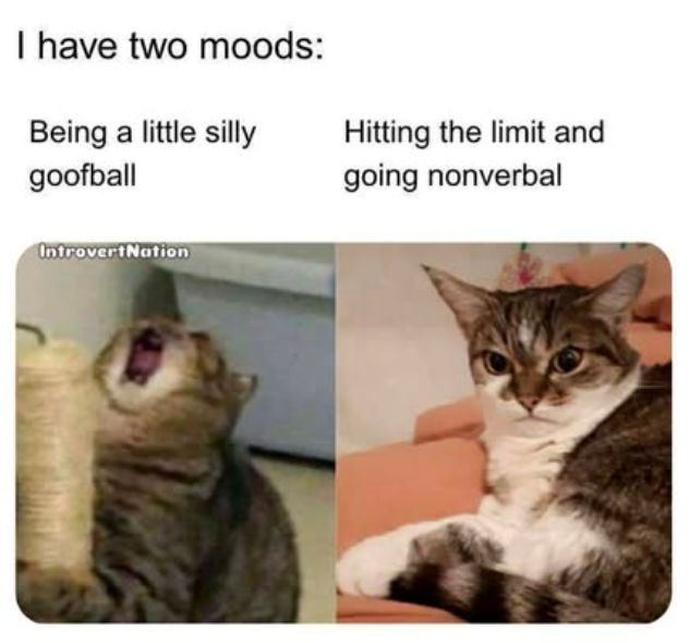 I have two moods: Being a little silly goofball IntrovertNation Hitting the limit and going nonverbal