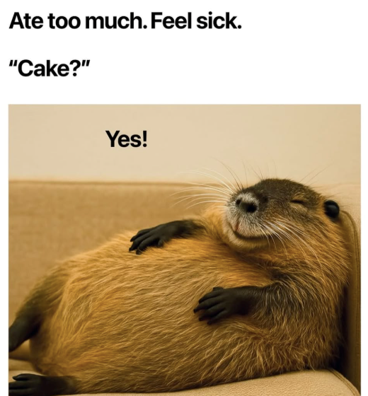 Ate too much. Feel sick. "Cake?" Yes!