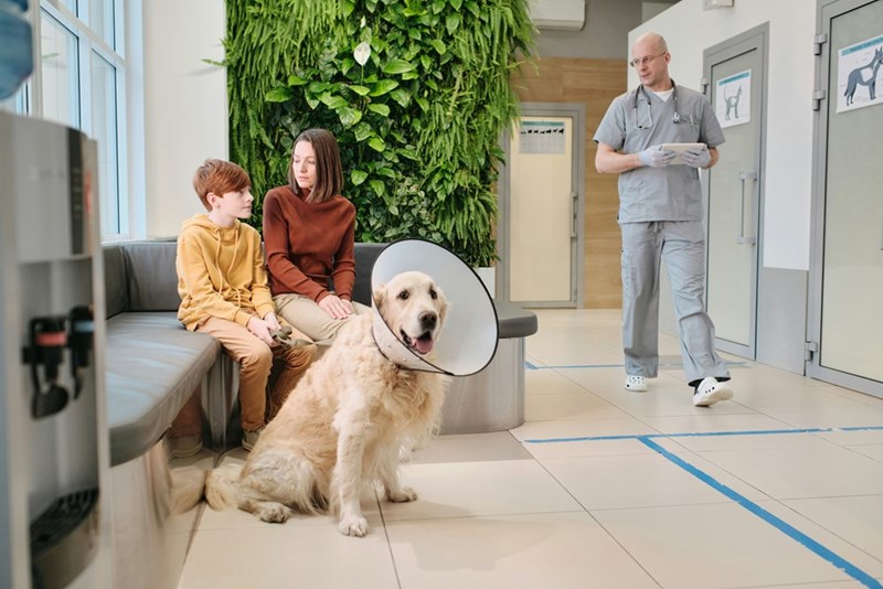This model represents a veterinary clinic waiting room with animals and pet owners waiting for their scheduled appointments.