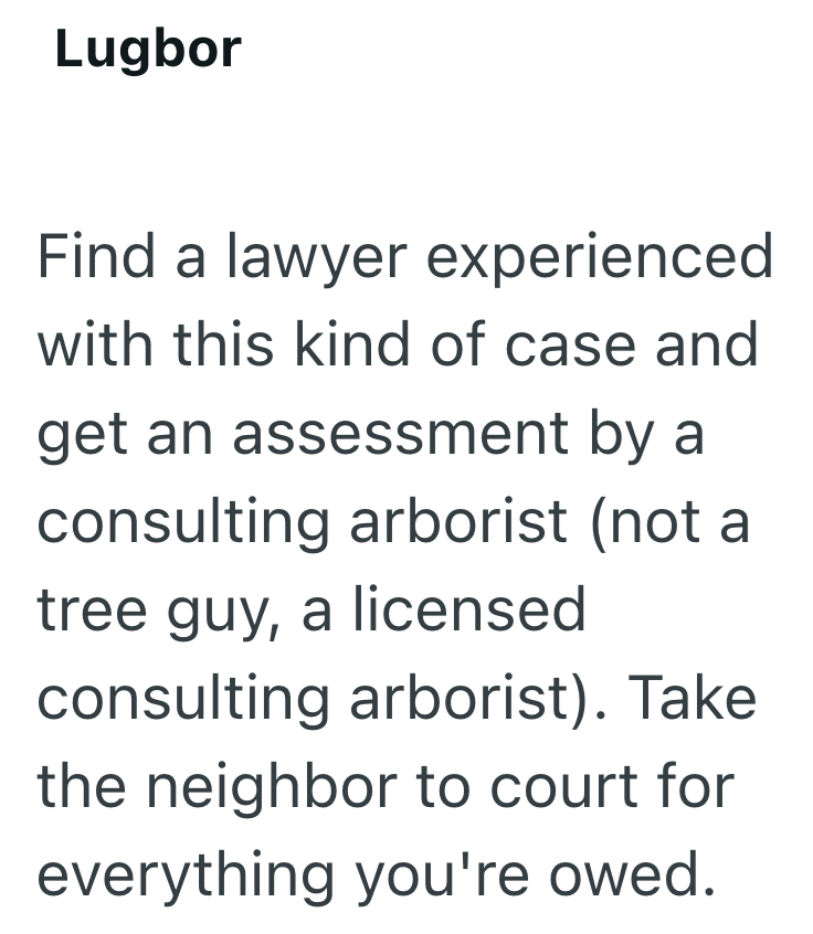 Lugbor Find a lawyer experienced with this kind of case and get an assessment by a consulting arborist (not a tree guy, a licensed consulting arborist). Take the neighbor to court for everything you're owed.