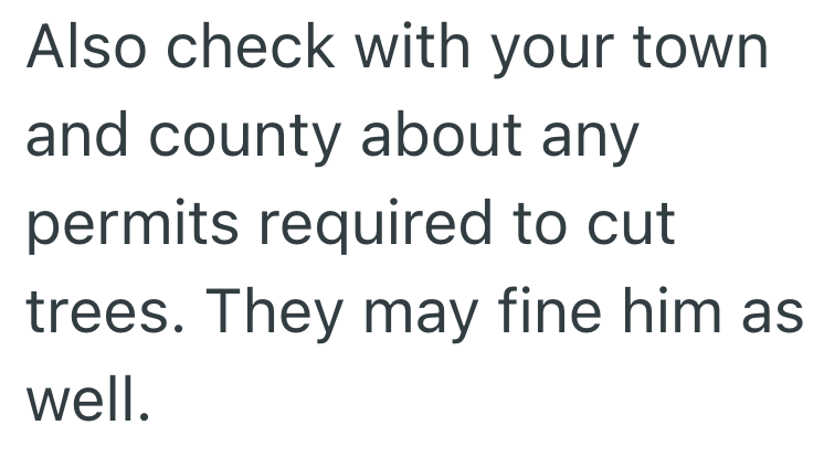 Also check with your town and county about any permits required to cut trees. They may fine him as well.