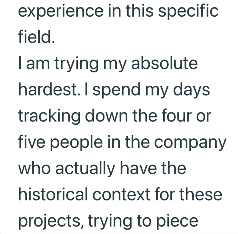 experience in this specific field. I am trying my absolute hardest. I spend my days. tracking down the four or five people in the company who actually have the historical context for these projects, trying to piece