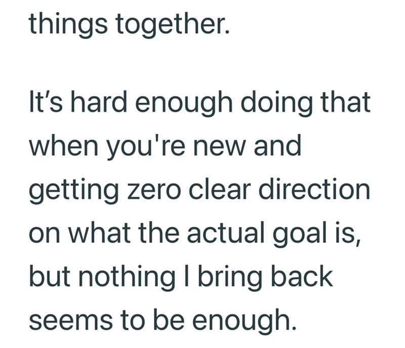 things together. It's hard enough doing that when you're new and getting zero clear direction on what the actual goal is, but nothing I bring back seems to be enough.