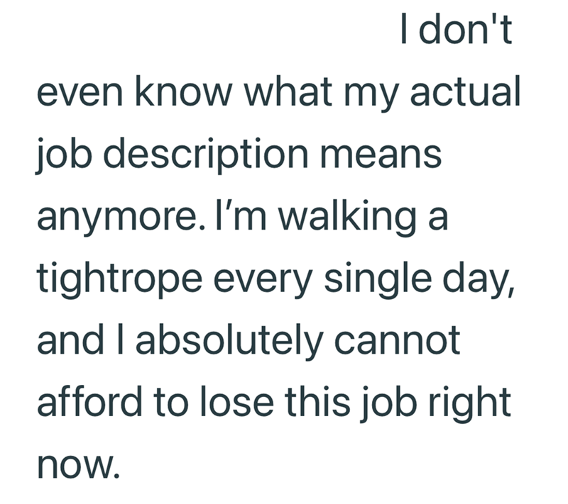 I don't even know what my actual job description means anymore. I'm walking a tightrope every single day, and I absolutely cannot afford to lose this job right now.