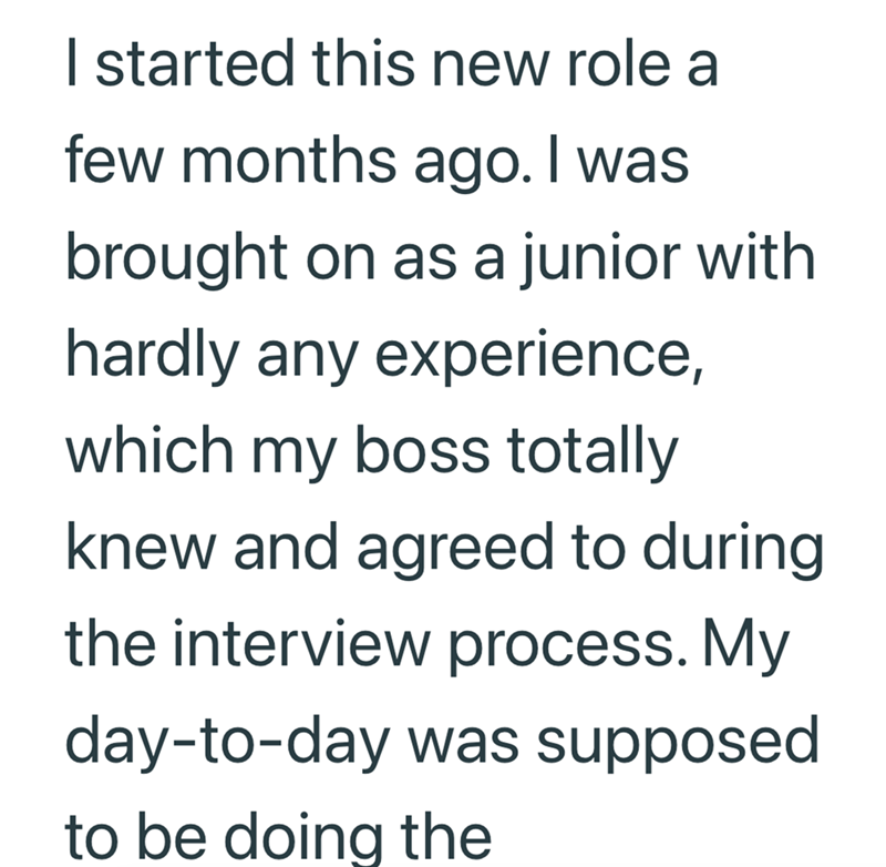 I started this new role a few months ago. I was brought on as a junior with hardly any experience, which my boss totally knew and agreed to during the interview process. My day-to-day was supposed to be doing the