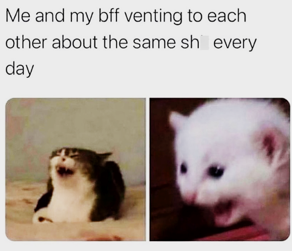 Me and my bff venting to each other about the same sh every day