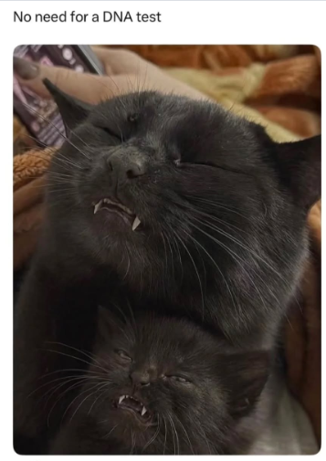 No need for a DNA test