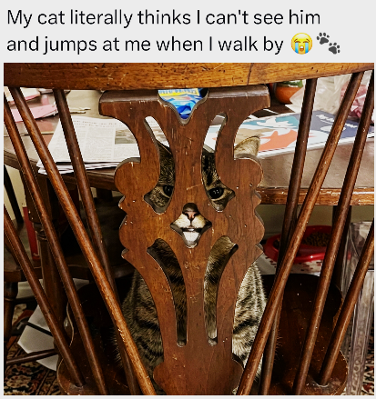 My cat literally thinks I can't see him and jumps at me when I walk by