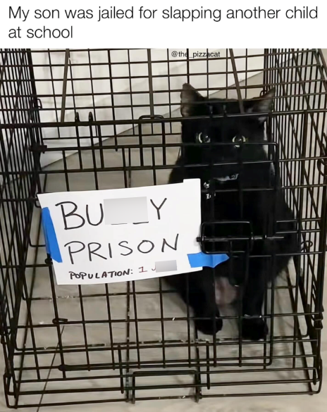 My son was jailed for slapping another child at school BU__Y PRISON POPULATION: 1 the pizzacat