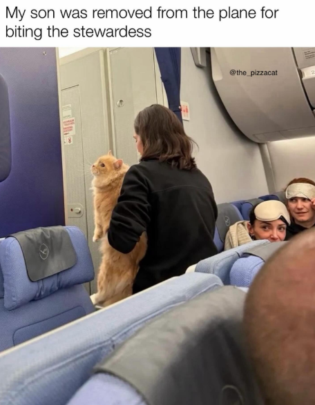 My son was removed from the plane for biting the stewardess @the_pizzacat