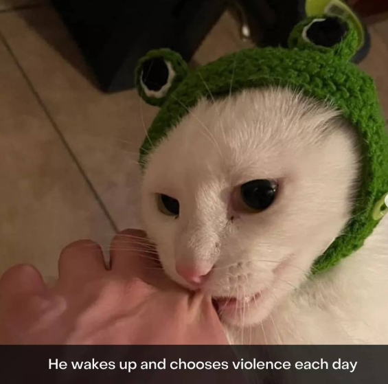 He wakes up and chooses violence each day
