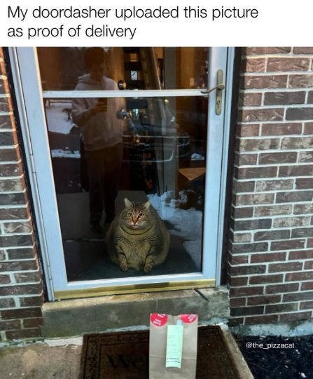 My doordasher uploaded this picture as proof of delivery @the_pizzacat We