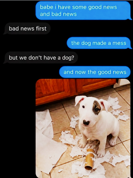 babe i have some good news and bad news bad news first the dog made a mess but we don't have a dog? and now the good news